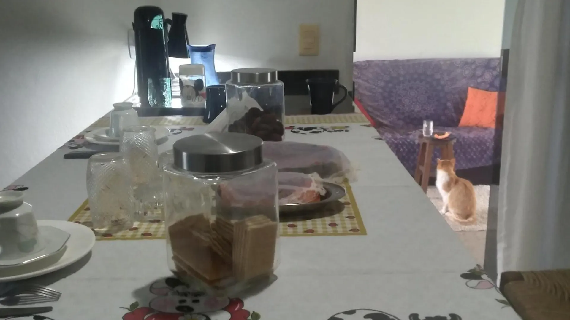 Homestay Hospedagem No Sul De Florianopolis